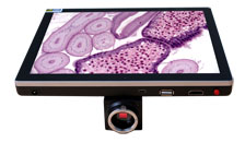 BLC-350 - HD Microscope Camera Screen