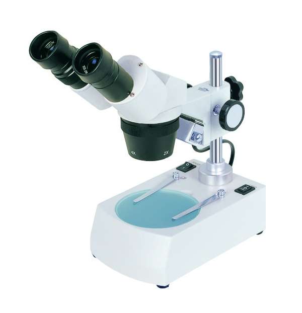 BS-3040 - Stereo Microscope