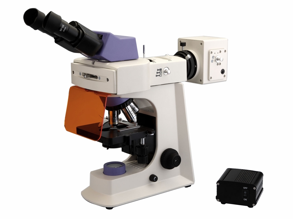 BS-2036F - LED Fluorescent Biological Microscope